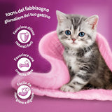 Whiskas Junior Classic mokra karma dla kotów, 13 x 4 x 85 g