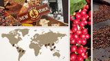 Kawa New York - EXTRA P - Kawa ziarnista, mocny i zdecydowany smak, ziarna Arabiki i Robusty, do mielenia, włoskie espresso, mieszanka batonowa - jakość premium od 1930 - 1 kg, ziarna