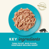 Applaws Cat Saszetka Filet z Tuńczyka w Galaretce 1x(16x70g)
