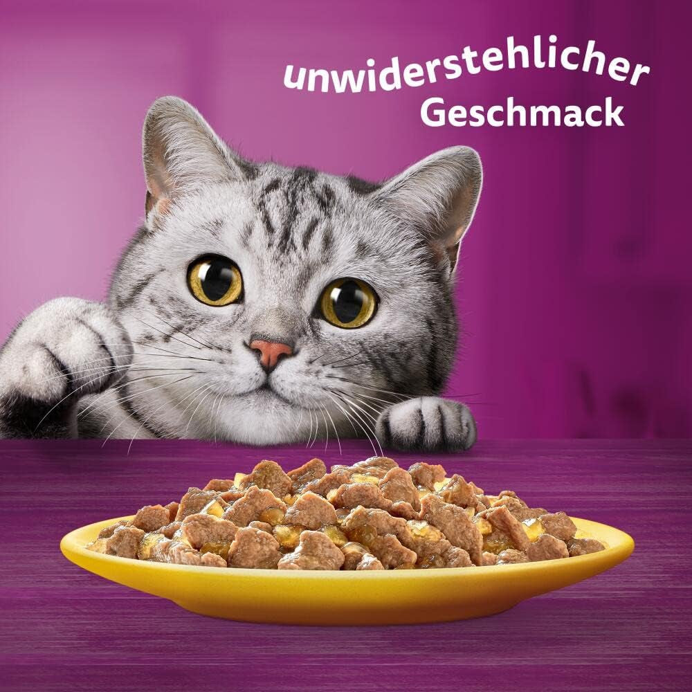 Whiskas 1+ mokra karma dla kotów z kurczakiem w galarecie, 28x85g (1 opakowanie) - Wysokiej jakości mokra karma dla dorosłych kotów w 28 saszetkach