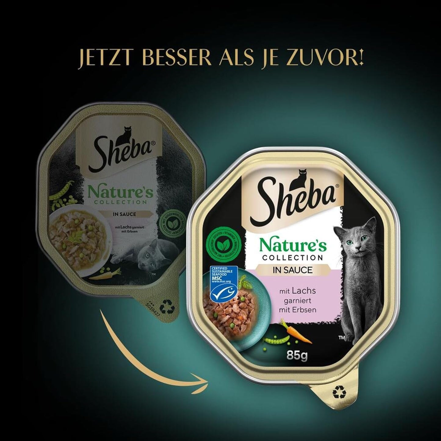 SHEBA Mokra karma dla kotów, Kolekcja Natury w Sosie Łososiowym, 2 x 11 x 85g