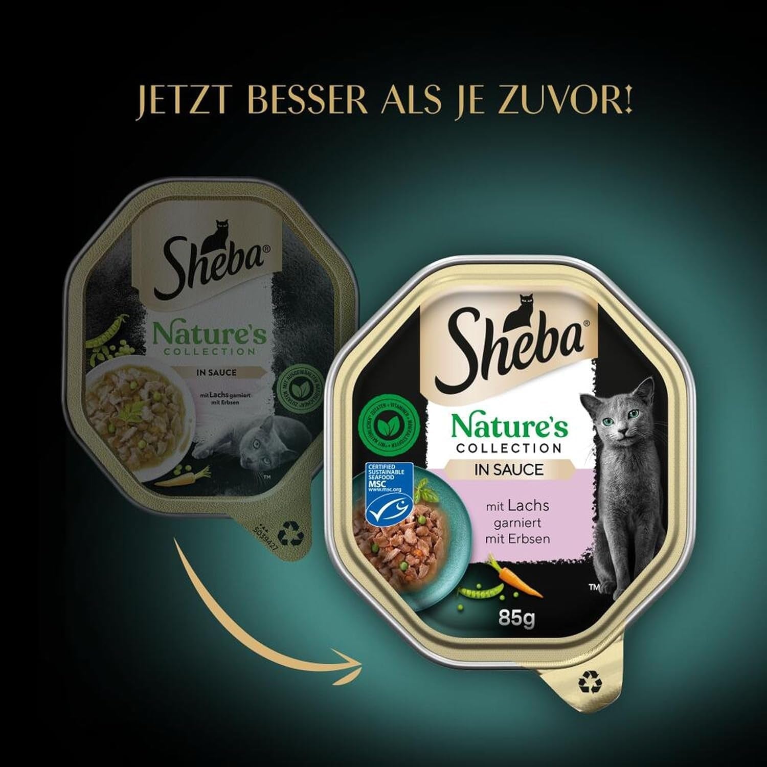 SHEBA Mokra karma dla kotów, Kolekcja Natury w Sosie Łososiowym, 2 x 11 x 85g