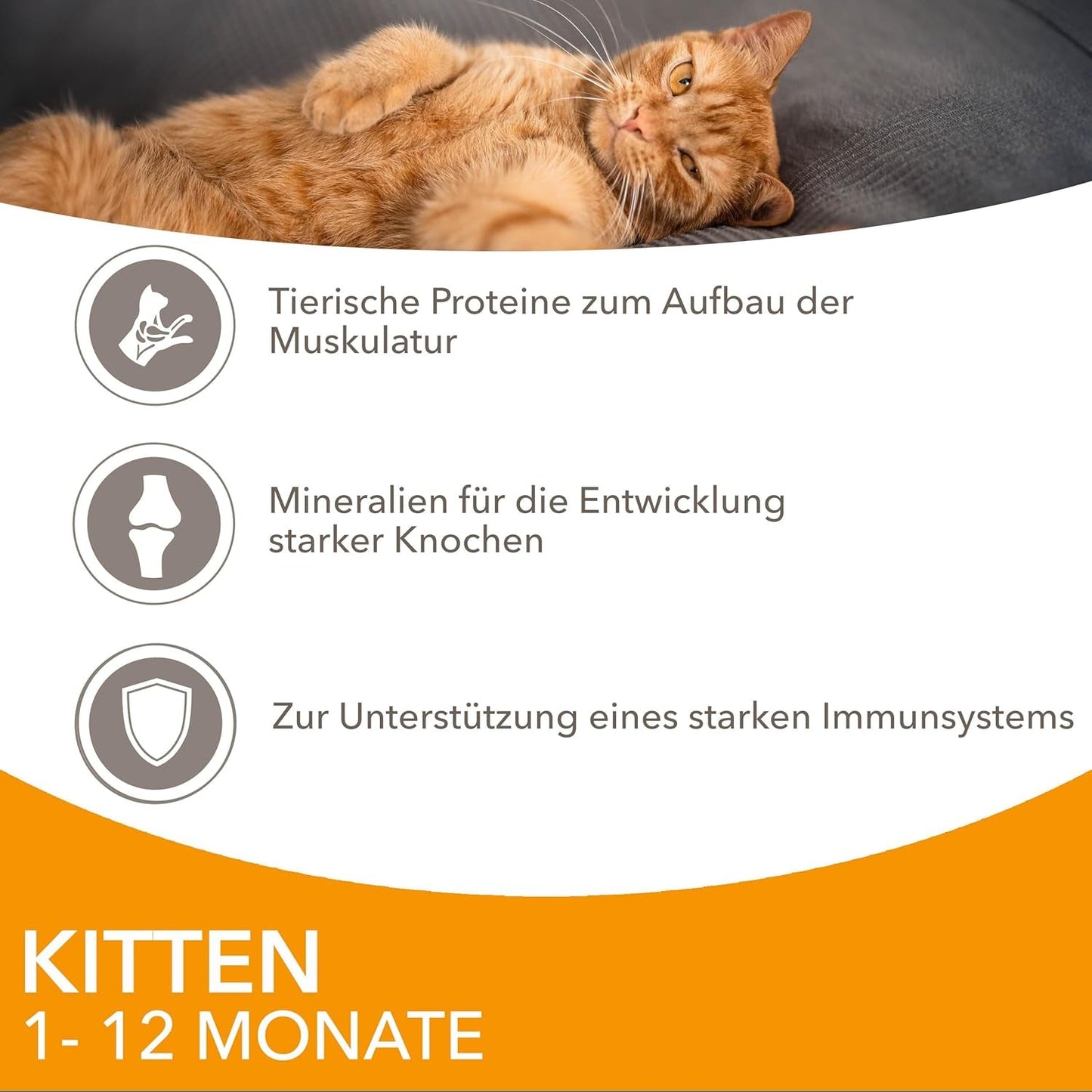 IAMS Delights Kitten Nassfutter - Opakowanie zbiorcze Katzenfutter mit Hunn w sosie, wysokiej jakości Futter für Junior Kätzchen von 1-12 Monate, 12 x 85 g