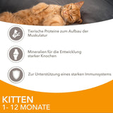 IAMS Delights Kitten Nassfutter - Opakowanie zbiorcze Katzenfutter mit Hunn w sosie, wysokiej jakości Futter für Junior Kätzchen von 1-12 Monate, 12 x 85 g