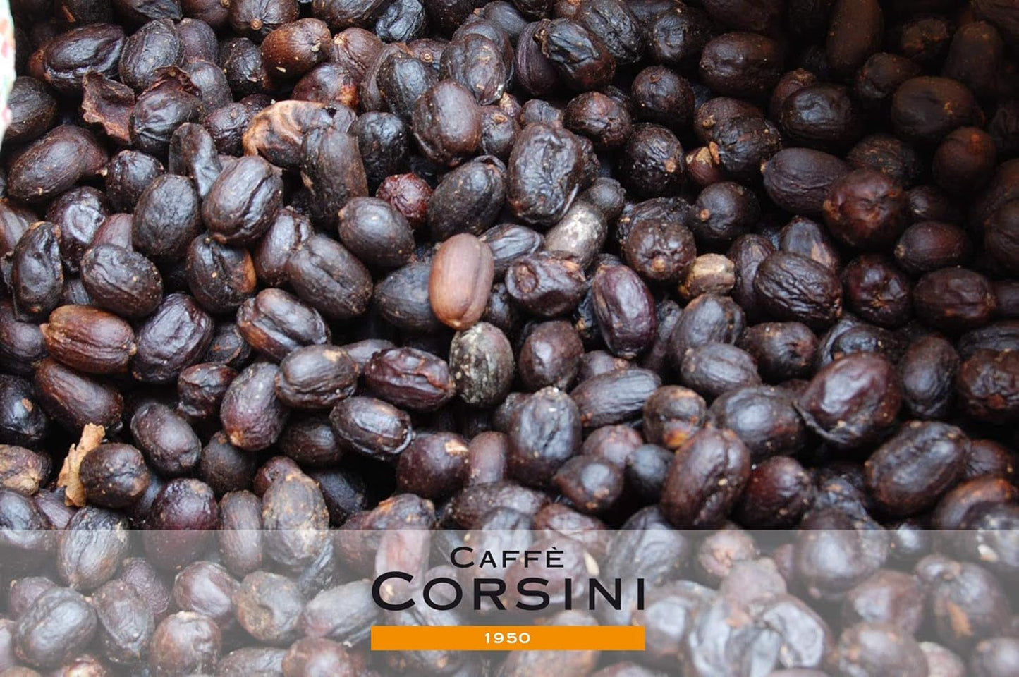 Caffè Corsini - Kaffeebohnen 3x250g Compagnia Dell'Arabica Zestaw Gwatemala/Ęthiopien/El Salvador, Einzelner Ursprung, łącznie 750g