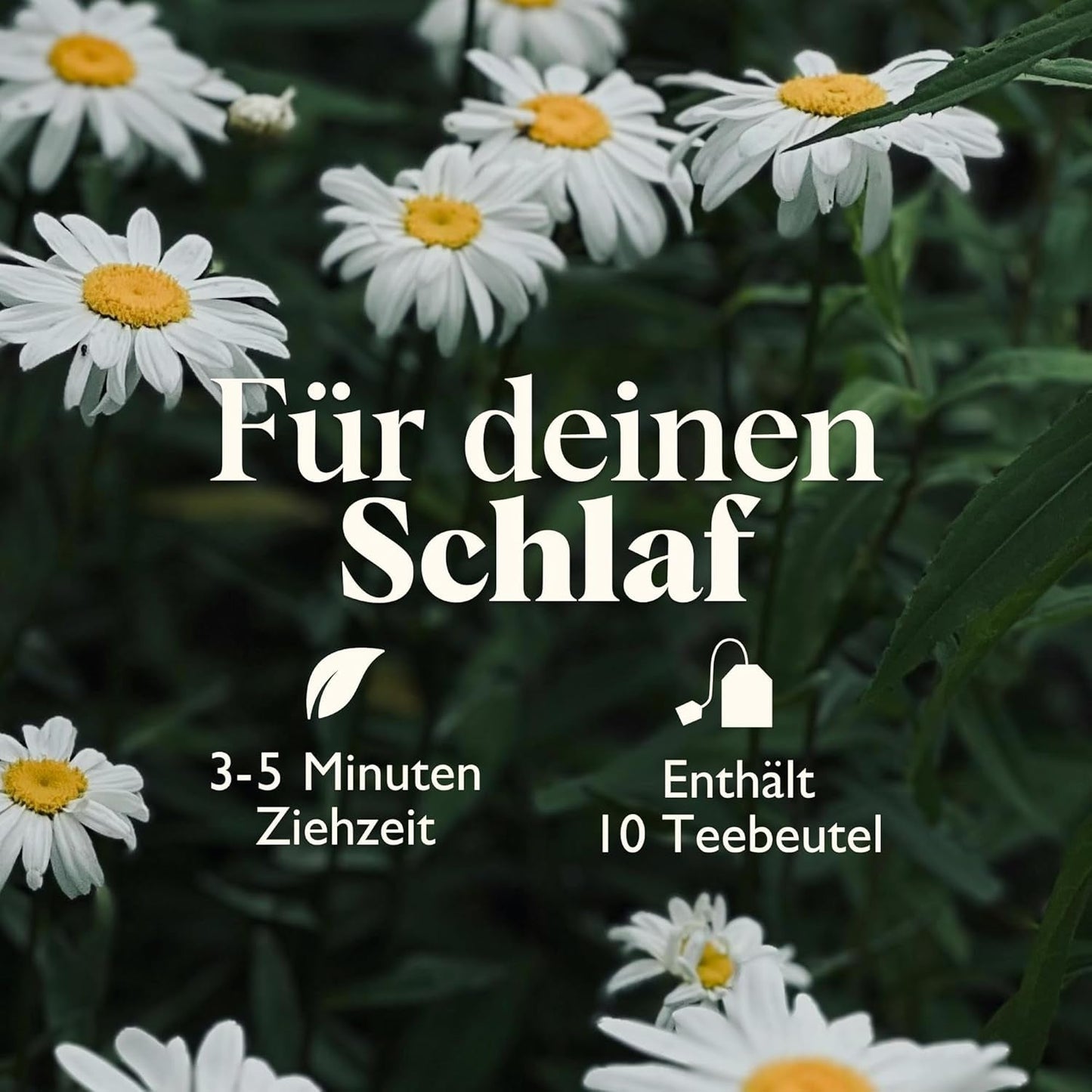 Twinings SWEET DREAMS Rumiankowa herbata z miodem, pomarańczą i kwiatem limonki - Słodka mieszanka herbat ziołowych poprawiających naturalny sen, 12 opakowań (po 10 torebek)