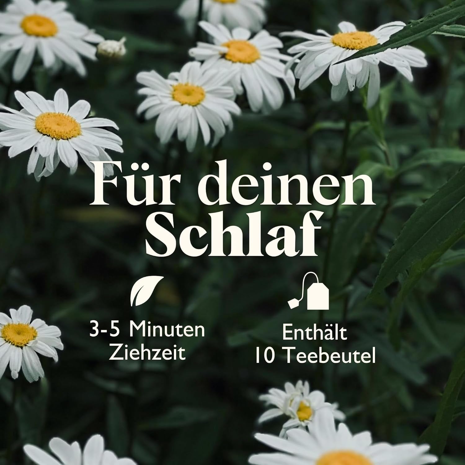 Twinings SWEET DREAMS Rumiankowa herbata z miodem, pomarańczą i kwiatem limonki - Słodka mieszanka herbat ziołowych poprawiających naturalny sen, 12 opakowań (po 10 torebek)