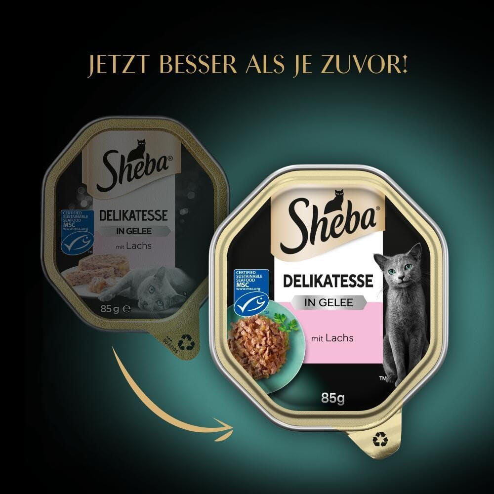 Sheba Mokra karma dla kotów, delikatesy w galaretce z łososia, 2 x 11 x 85g