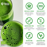 Terapia Matcha 30+ | Organiczna herbata Matcha w proszku | 60 g | O potwierdzonej zawartości co najmniej 30 mg/g katechiny EGCG | Wspomaga układ odpornościowy i poziom energii | Ceremonialna jakość | Zielona herbata z Japonii