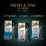 Sheba Portion Pouches Mokra karma dla kotów Multipack Fresh & Fine w galarecie z tuńczykiem i łososiem MSC, 6x6x50g - Zdrowe posiłki dla kotów z galaretką