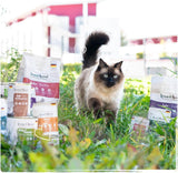Venandi Animal Premium Nassfutter für Katzen, Probierpaket II, Kurczak + Królik, Kalb, Indyk, 6 x 400 g, getreidefrei und naturbelassen, 2,4 kg