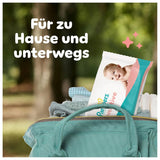 Chusteczki nawilżane Pampers Sensitive, 6 opakowań po 80 chusteczek = 480 chusteczek, bezzapachowe, do delikatnego i delikatnego czyszczenia