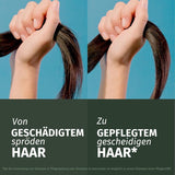 Herbal Essences Maska naprawcza do włosów z olejkiem arganowym 300ml. Od zniszczonych włosów po gładsze i bardziej błyszczące. Intensywna terapia. Ze składnikami naturalnego pochodzenia. Wegańska maska do włosów Naty Shop