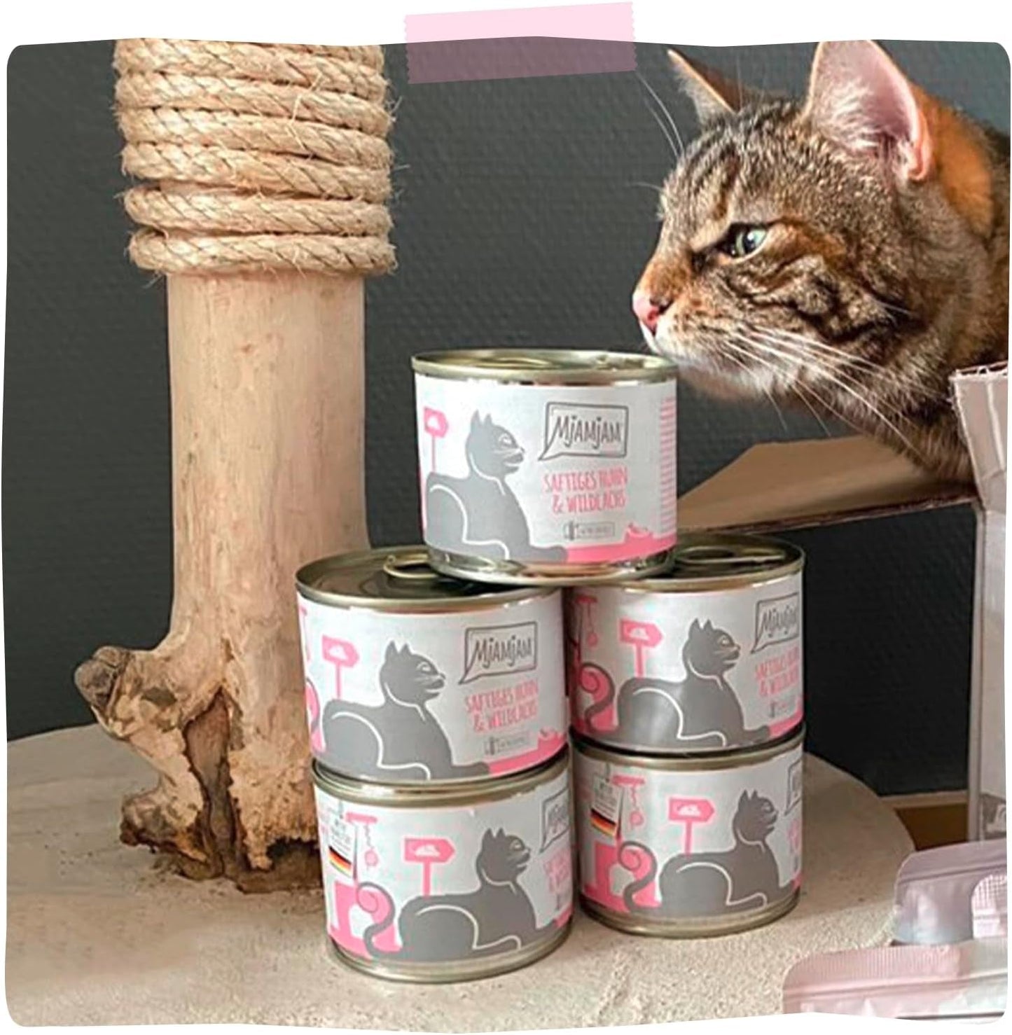 MjAMjAM - Mokra karma premium dla kotów - Soczysty kurczak i dziki łosoś, 6 szt. (6 x 400 g), bez zbóż, z dodatkowym mięsem