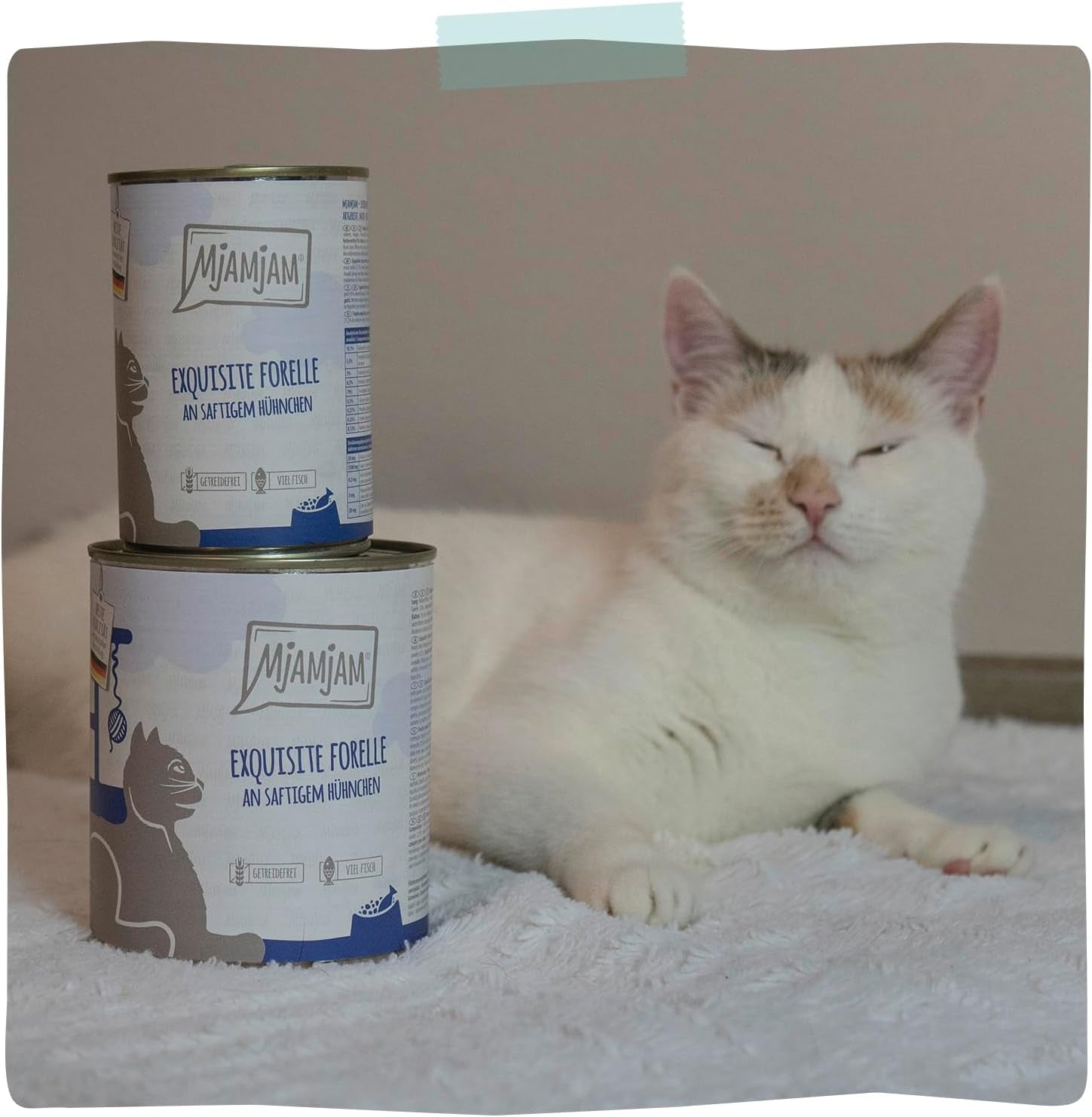 MjAMjAM - Mokra karma premium dla kotów - Rafinowany pstrąg z soczystym kurczakiem, opakowanie 6 sztuk (6 x 400g), bez zbóż