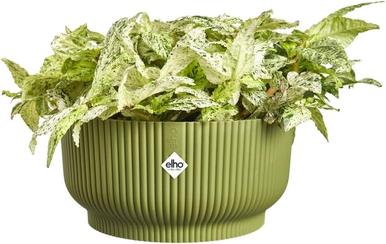 elho Vibes Fold Bowl 25 - Doniczki do wnętrz - 100% plastiku pochodzącego z recyklingu - Ø 24,9 x wys. 12,1 cm - Zielony/Ferngrün