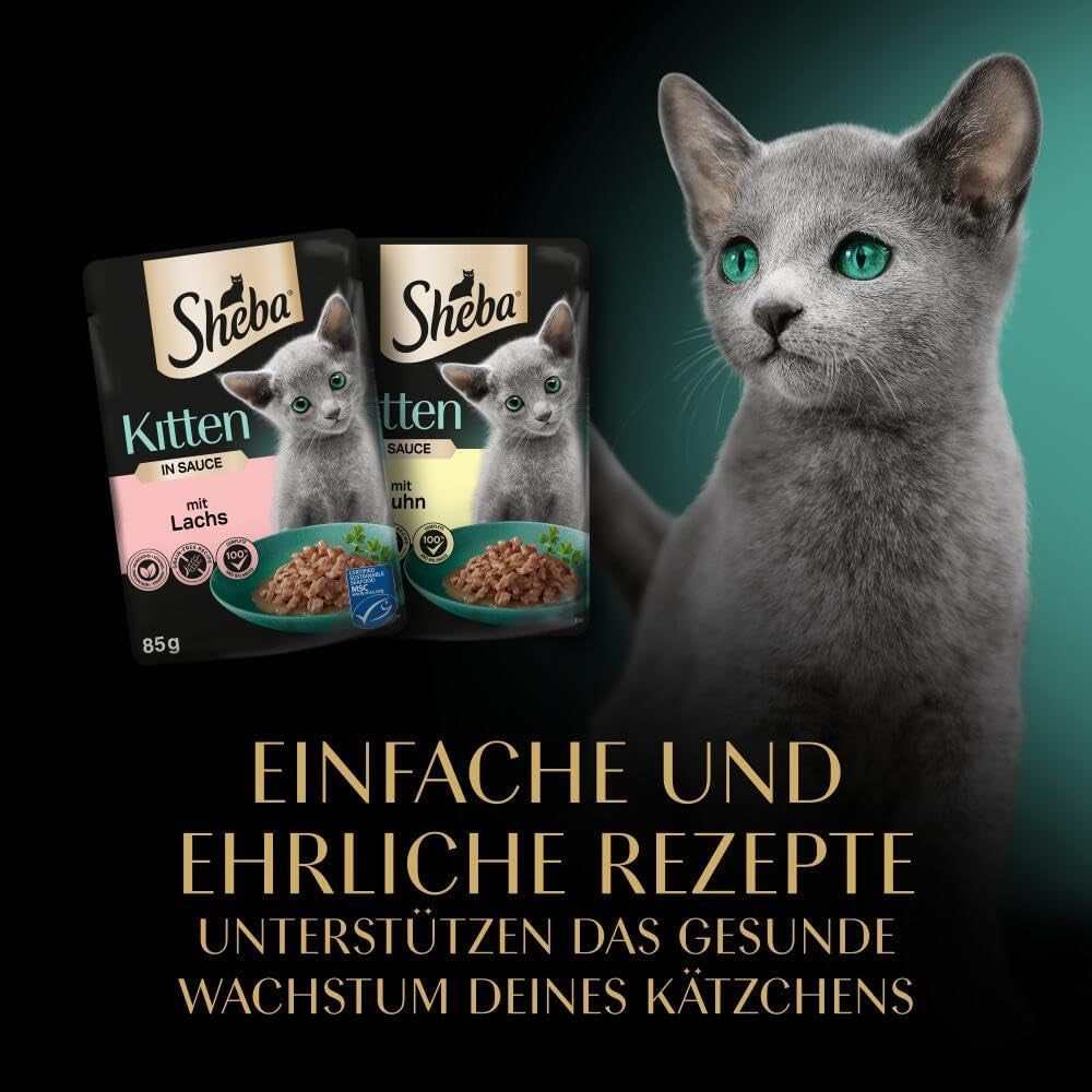 Sheba mokra karma dla kociąt, w różnych saszetkach, z łososiem (MSC) i kurczakiem w sosie, opakowanie zbiorcze 40x85g