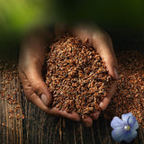 Biocentralne całe nasiona lnu | 7 x 400g organicznych nasion lnu | Idealny do jogurtu, musli i chleba | Alternatywa dla nasion babki płesznik, nasion konopi i nasion chia