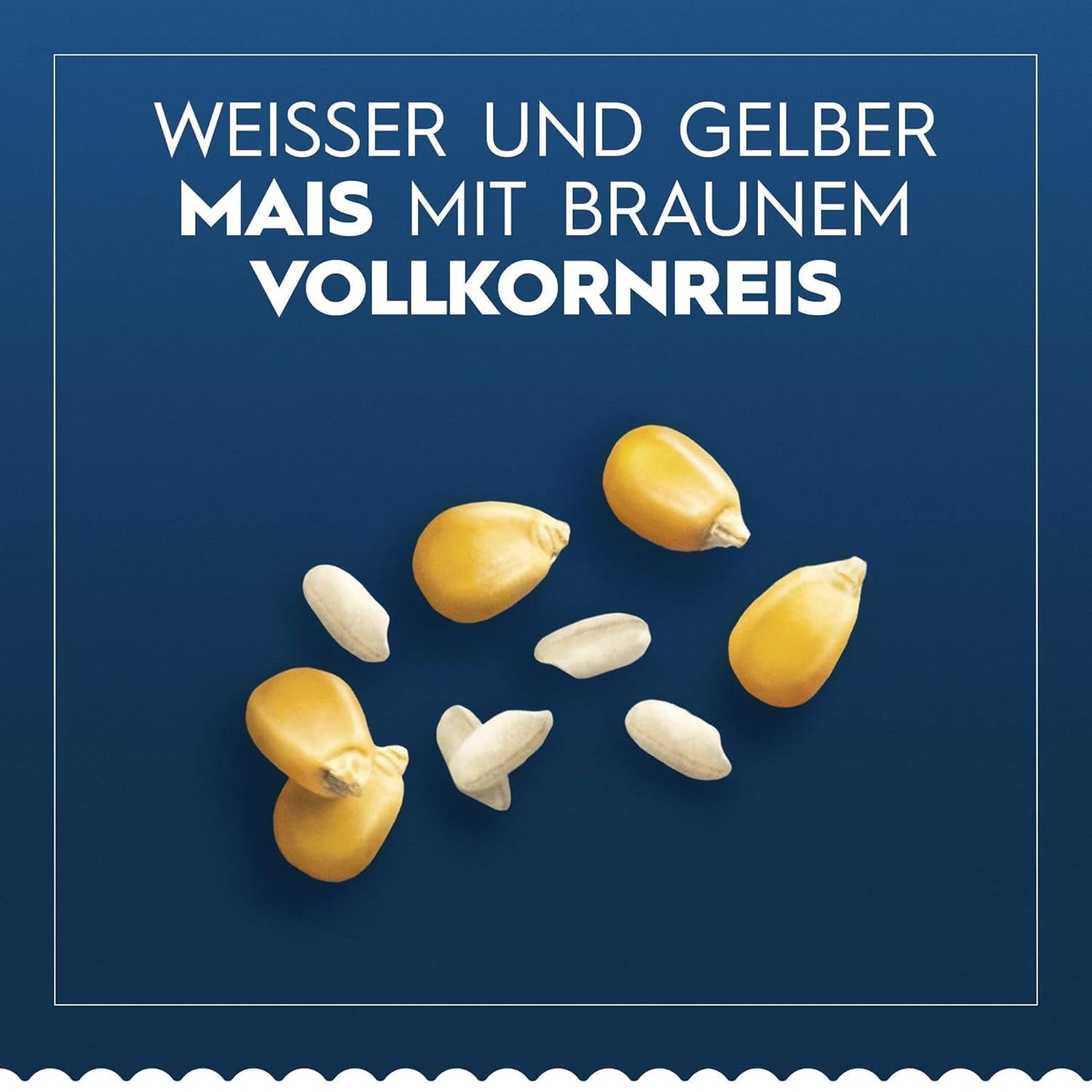 Barilla Pasta Bezglutenowa lasagne, przygotowana z pysznej kukurydzy i ryżu, idealna dla osób z celiakią lub nietolerancją glutenu, opakowanie 10 sztuk (10 x 250g)