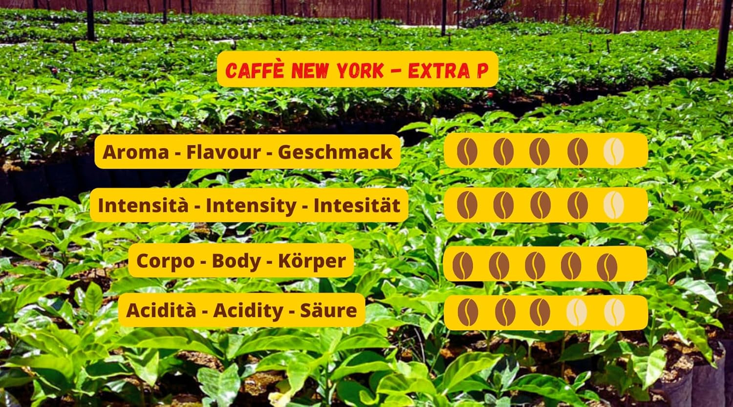 Kawa New York - EXTRA P - Kawa ziarnista, mocny i zdecydowany smak, ziarna Arabiki i Robusty, do mielenia, włoskie espresso, mieszanka batonowa - jakość premium od 1930 - 1 kg, ziarna