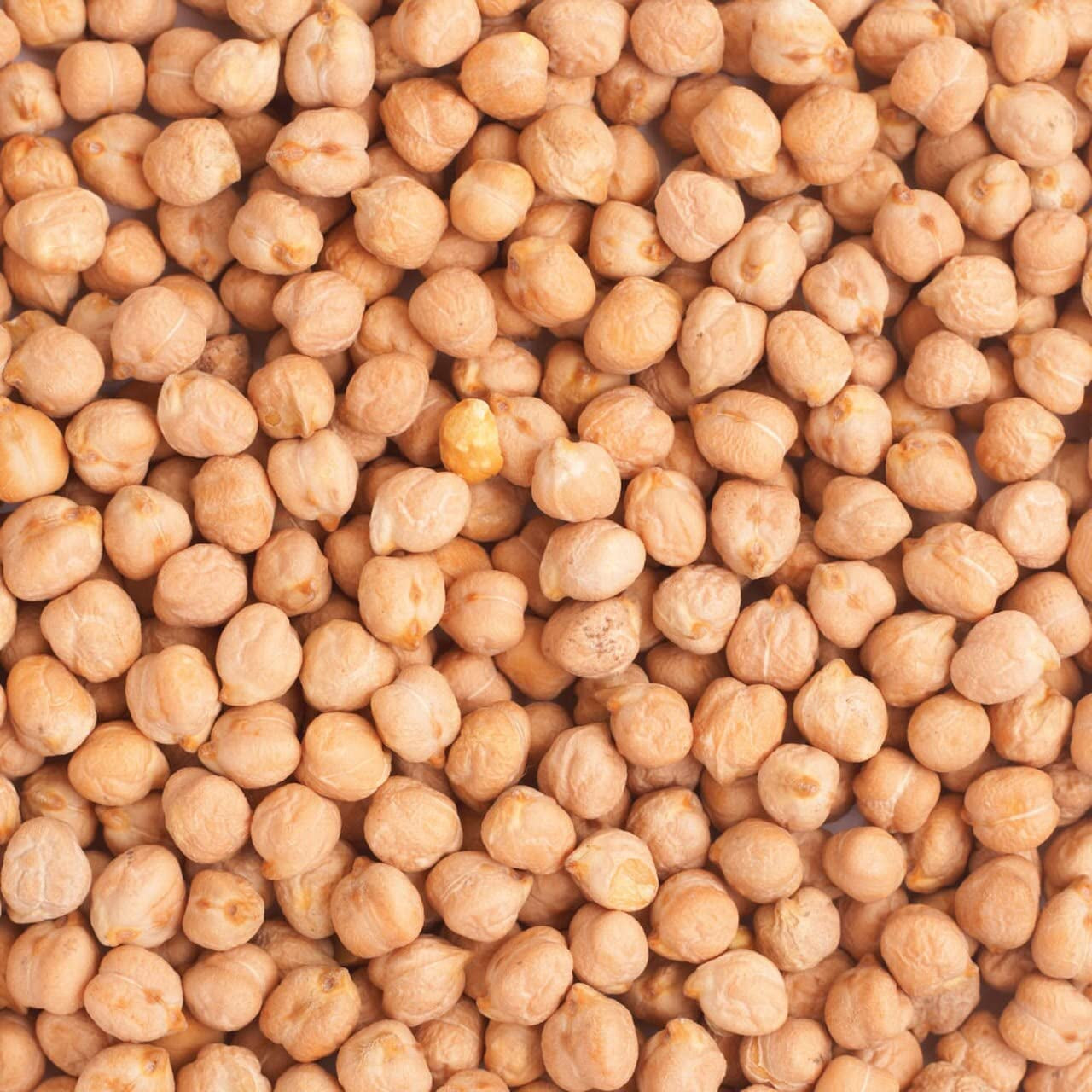 Ciecierzyca pełnoziarnista ziemna 8mm (idealna do hummusu), bez GMO, naturalna, wegańska, bez nabiału, bez dodatku cukru, 2kg