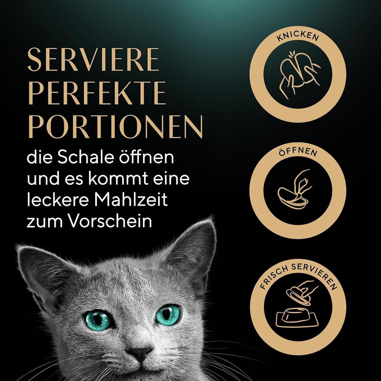 SHEBA Perfect PORTIONS sos dla kotów z indykiem 8 x 3 x (2 x 375g)