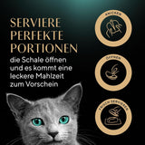 SHEBA Perfect PORTIONS sos dla kotów z indykiem 8 x 3 x (2 x 375g)