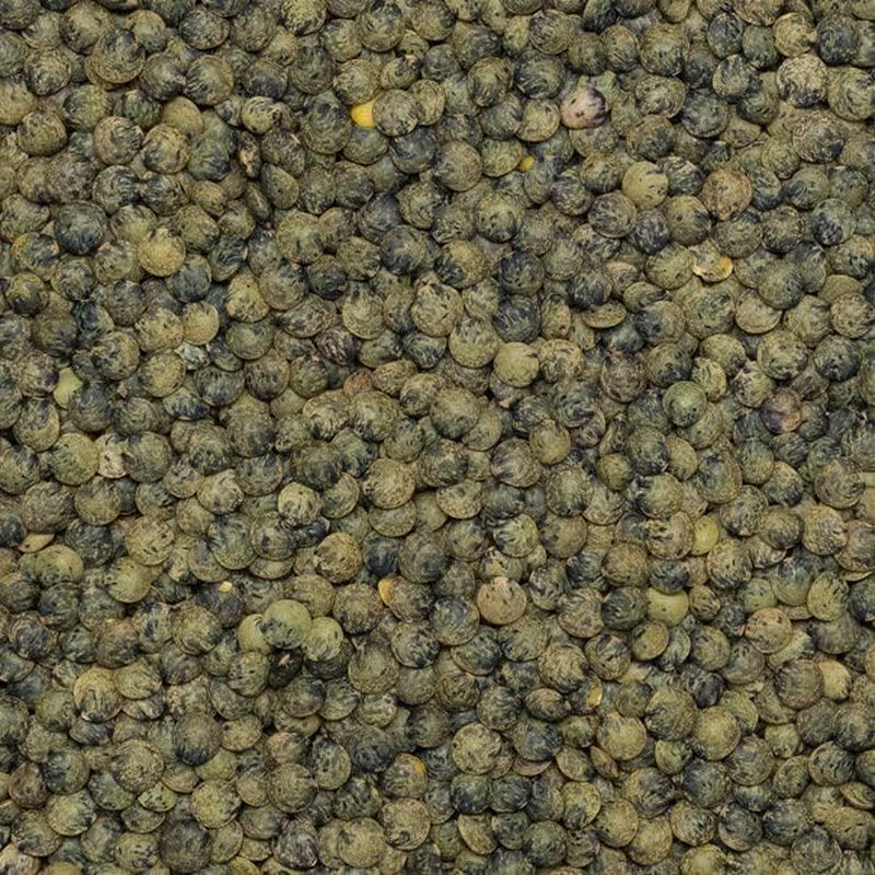 Pełnoziarnista, ekologiczna soczewica francuska w stylu francuskim, ciemnozielona 1kg bez GMO | wegańskie | Bogaty w błonnik | Bogaty w białko | Certyfikowane organiczne