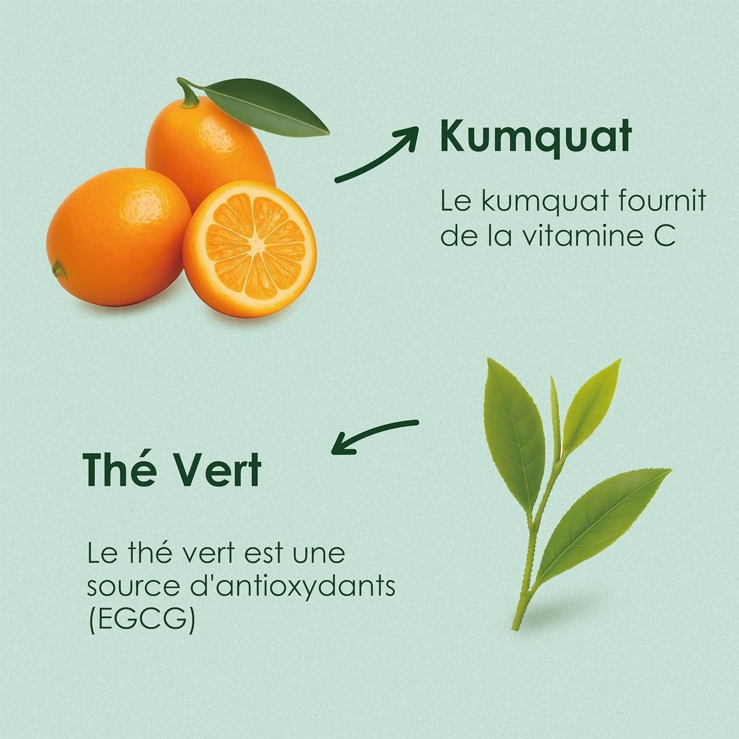 Yunnan Tuocha Zouji - Organiczna herbata zielona z kumkwatem - Witamina C - 100 torebek herbaty - 200 g - Jakość Yunnan gwarantowana
