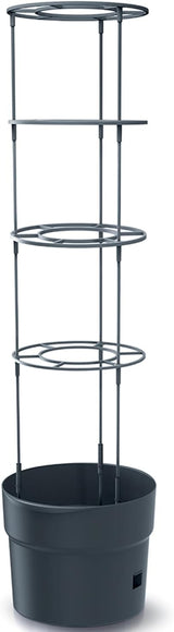 Doniczki do sadzonek pomidorów Prosperplast z kratą – Solidna donica z tworzywa sztucznego | Antracyt | Odporny na warunki atmosferyczne i promieniowanie UV | 29,5 x 115,2 cm | Idealny do ogrodu i na taras