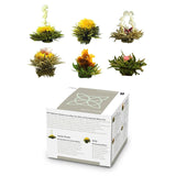 Feelino Eleganckie 6-częściowe pudełko mieszane - Feelino White Tea Flowers w przepięknym pudełku prezentowym z 6 różnymi białymi różami herbacianymi, pakowane pojedynczo próżniowo, opakowanie 1-częściowe