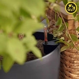 Donica LECHUZA Classico Color ECO 60 Ciemnoszary | Donica z systemem podlewania i wskaźnikiem poziomu wody | Wykonane w 100% z plastiku pochodzącego z recyklingu | Matowe wykończenie | Ø 60 x 55,5 cm | 18955