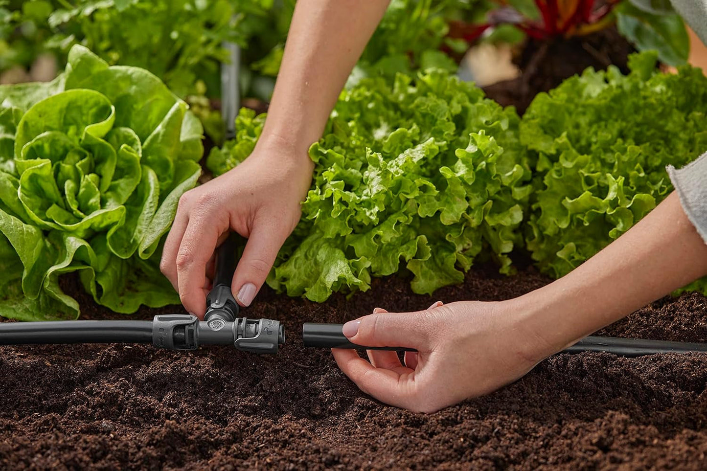 Gardena Micro-Drip System nawadniania Trójnik 13 mm (1/2"): Złącze do rur zasilających 13 mm, odgałęzienie T, automatyczne nawadnianie, wielokrotnego użytku (13201-20)