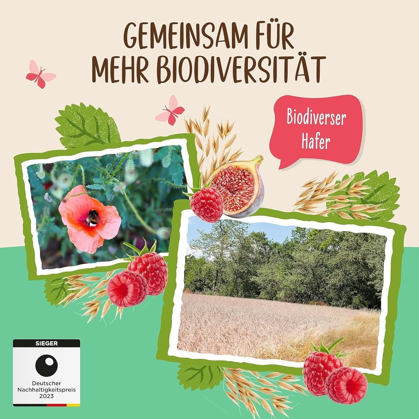 Allos Niesłodzona owsianka figowo-malinowa, Zestaw 6 x 500 gramów Zboża Naty Shop