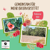 Allos Niesłodzona owsianka figowo-malinowa, Zestaw 6 x 500 gramów Zboża Naty Shop