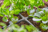 Gardena Micro-Drip-System - Przyłącze krzyżowe 4,6 mm (3/16 cala): Akcesorium do odgałęzień i linii kroplujących, montaż bez załamań dzięki łatwej i elastycznej technologii połączeń (13214-20)