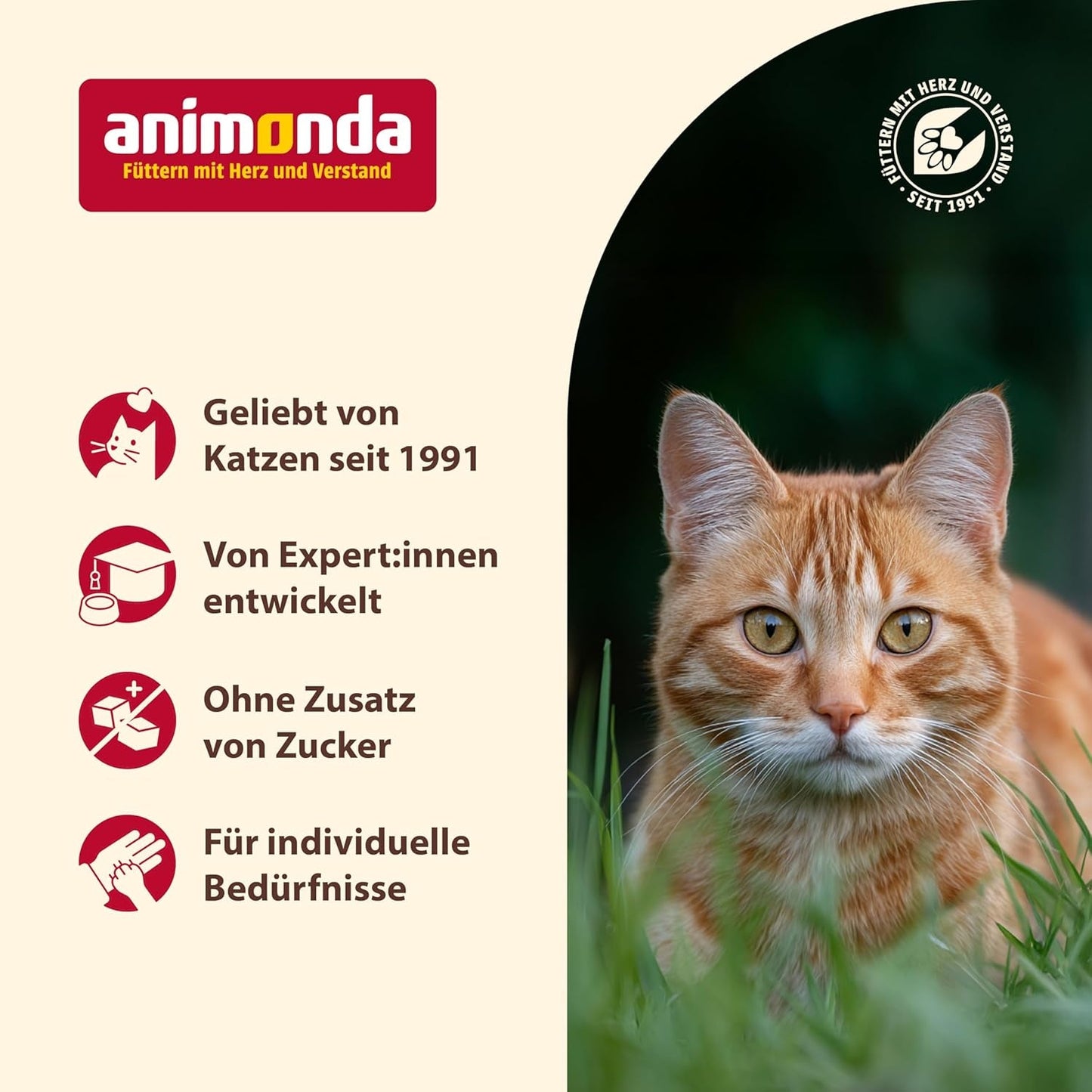 Animonda Carny Senior Mokra karma dla kotów z wołowiną + kurczakiem + serem (6 x 200g), bezzbożowa i bezcukrowa mokra karma dla kotów od 7 roku życia, ze świeżymi i mięsnymi składnikami