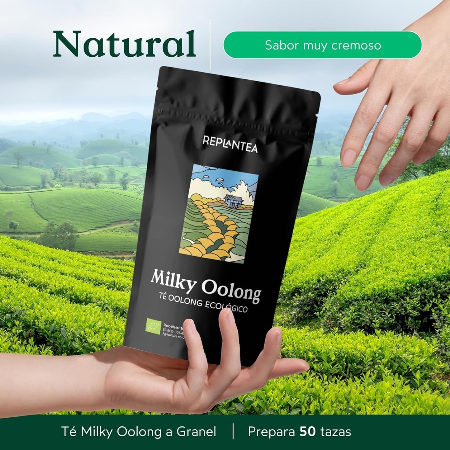 BIO Mleczna herbata Oolong (100 g) | Luźna herbata Oolong premium z kremowymi i słodkimi mlecznymi nutami | Delikatny specjał herbaciany | REPLANT