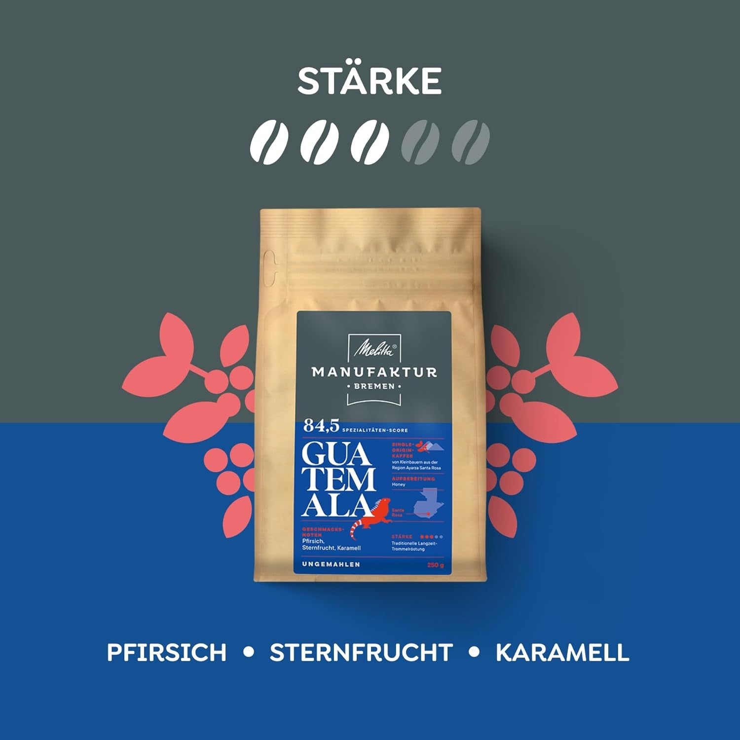 Melitta Manufaktur-Kaffee Guatemala Honey, Spezialitäten, 250g, Ganze Bohnen, Ungemahlen, Single-Origin, Sanfte Trommelröstung, Geröstet in Deutschland, Stärke 3
