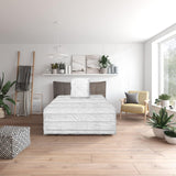 Podstawowy komplet pościelowy Traumnacht Green składający się z kołdry na cały rok 135 x 200 cm + poduszki 80 x 80 cm, certyfikat Oeko-Tex, wyprodukowany zgodnie z niemieckimi standardami jakości. Kołdry i kołdry Naty Shop Komplet pościeli całorocznej 135 x 200 cm