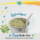 ORIGEENS BIO YERBA MATE Z MIĘTĄ I CYTRYNĄ 200 G - Świeżość I Niepalona Bio Yerba Mate, liście, bez łodyżek i pyłu