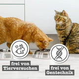 catz finefood Senior Collection Katzenfutter nass - Premium Nassfutter für Ihre Senior Katze - getreidefrei, ohne Zucker, hoher Fleischanteil, Witaminy i minerały (6 x 200g dawka)