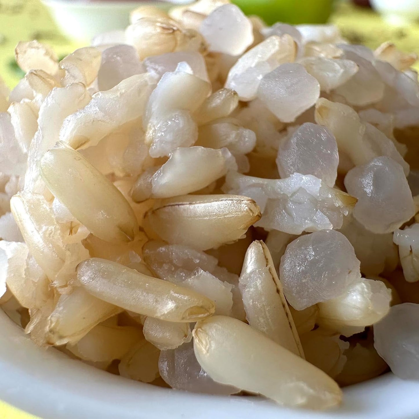 Rodzina Elfów Konjak Reis Thai Brauner Shirataki Bowl - [Diätbox für 1 Wo.] - Instant Jasmin Reis - Fertiggerichte für Mikrowelle - Natürlich Superfoods Mikronährstoffe - Vegan/Low Carb/Fettfrei - 6er Box