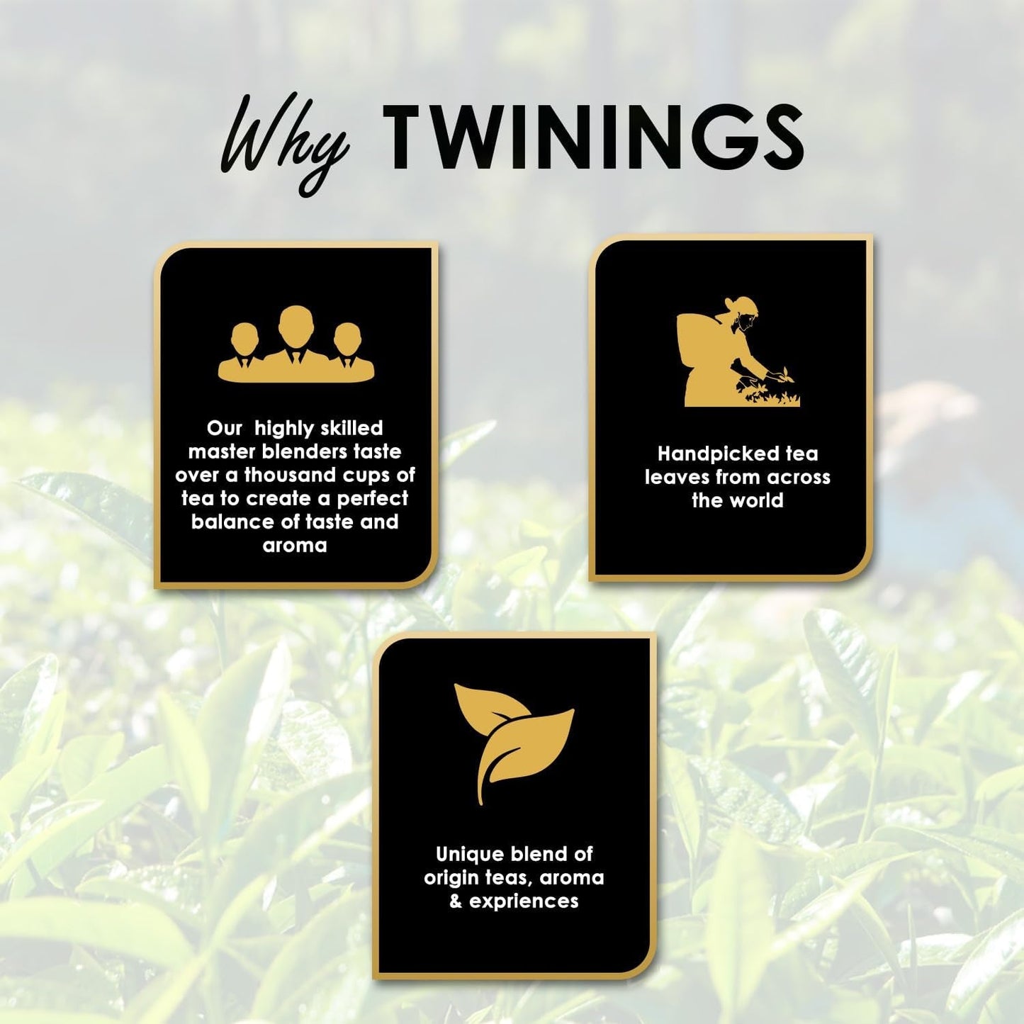 Twinings English Breakfast Black Tea 50g, 25 torebek, pełna, okrągła i mocna herbata czarna, pochodząca z najlepszych plantacji herbaty na Sri Lance i w Indiach. Herbata czarna Opakowanie 1 szt. (1 x 50 g)