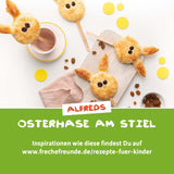 FRECHE FREUNDE Organiczne rodzynki, Trockenfrüchte ohne Zucker, ohne Zusatzstoffe, ungeschwefelt, in kleinen Snackboxen, Sultaninen für Kinder, opakowanie 20er, 20 x (3x14g)