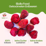 biolla food całe suszone truskawki 0,5 kg, 100% naturalne. Zdrowe przekąski dla dzieci. Idealny do koktajli, musli owsianych, herbaty i owsianki. Długi okres przydatności do spożycia. WEGAŃSKA, BEZGLUTENOWA, SUROWA ŻYWNOŚĆ Naty Shop Produkty suszone