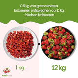 biolla food całe suszone truskawki 0,5 kg, 100% naturalne. Zdrowe przekąski dla dzieci. Idealny do koktajli, musli owsianych, herbaty i owsianki. Długi okres przydatności do spożycia. WEGAŃSKA, BEZGLUTENOWA, SUROWA ŻYWNOŚĆ Naty Shop Produkty suszone