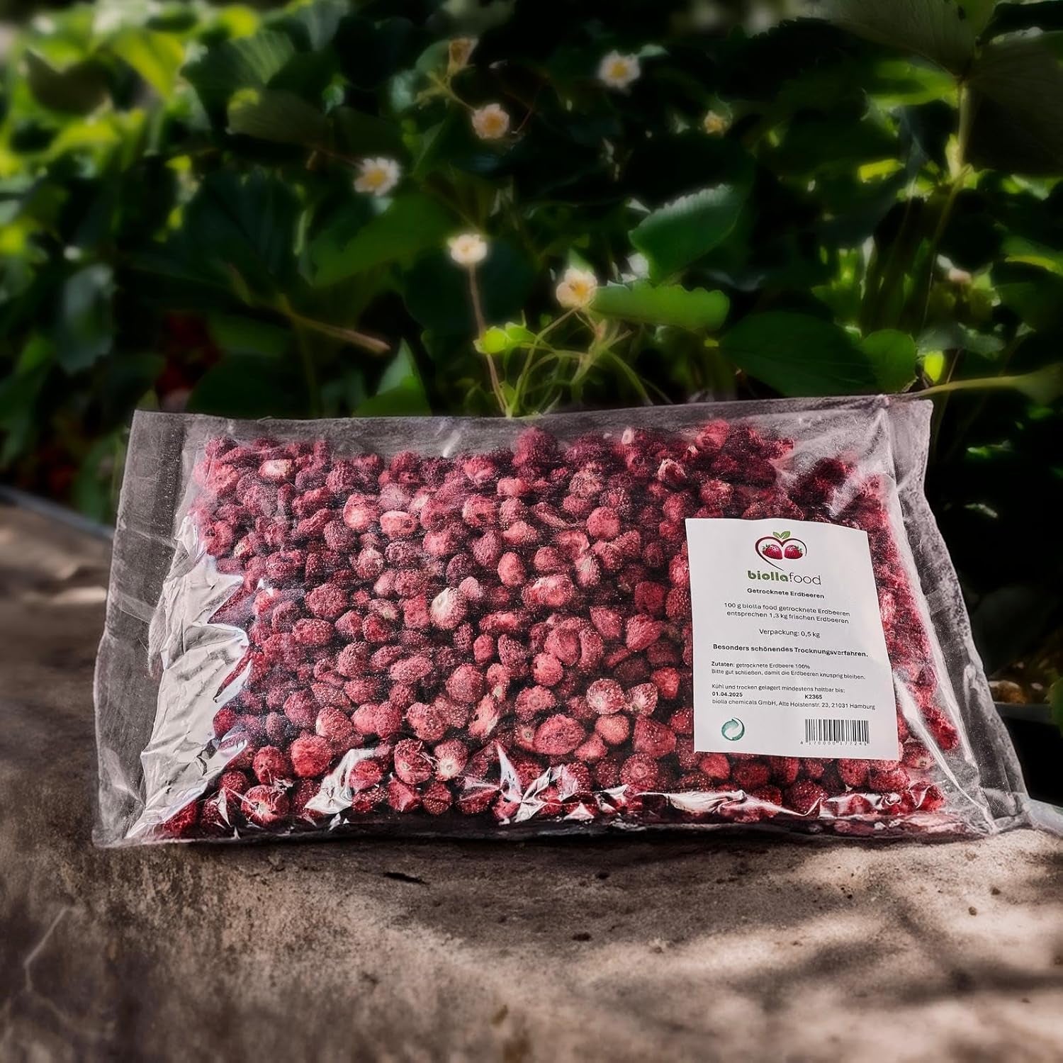 biolla food całe suszone truskawki 0,5 kg, 100% naturalne. Zdrowe przekąski dla dzieci. Idealny do koktajli, musli owsianych, herbaty i owsianki. Długi okres przydatności do spożycia. WEGAŃSKA, BEZGLUTENOWA, SUROWA ŻYWNOŚĆ Naty Shop Produkty suszone