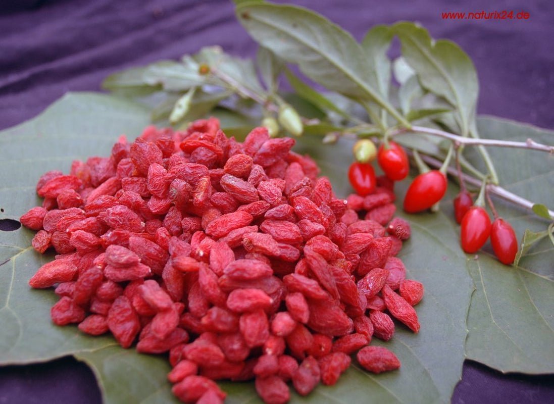 Suszone Jagody Goji - smak saszetka, 1 opakowanie (1 x 1 kg) Produkty suszone Naty Shop Tytuł domyślny