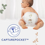 Douceur Naturelle - Majtki, rozmiar 6 (16-26 kg) opakowanie na 1 miesiąc - 112 majtek